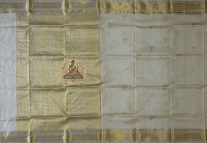 Full flat lay of Chhattisgarh Tussar silk saree showing natural forest gold body, woven-in traditional border and wild silk texture — quiet confidence collection, Dakshin Vastram