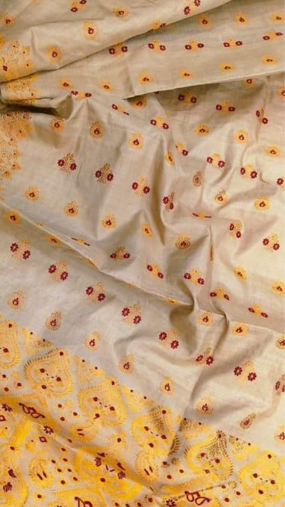 Rear view of handloom Muga silk saree displaying naturally golden Assam silk fall and handloom border, Antheraea assamensis silk that grows more lustrous with age