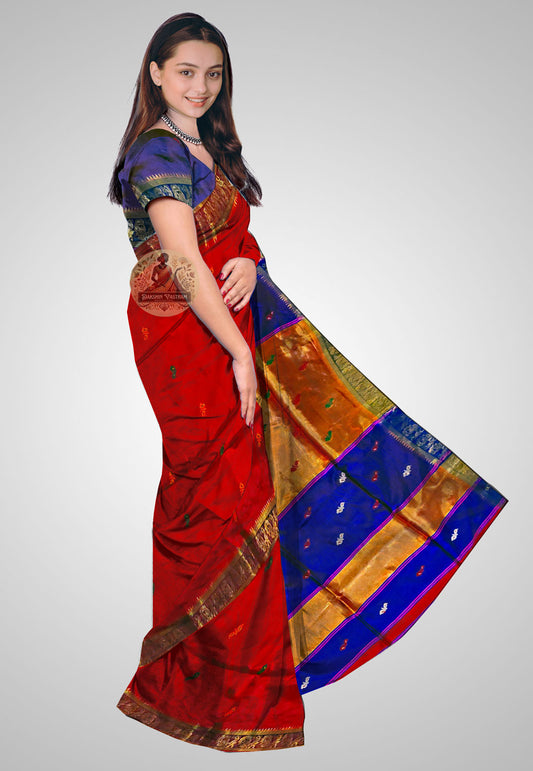 Draped Indian Silk Saree from side – Traditional beauty in motion
