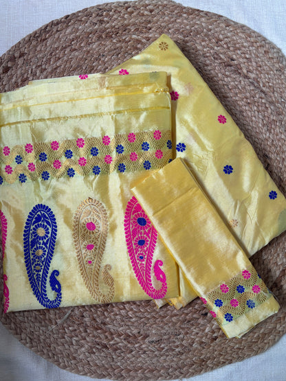 Rear view of Paat Mekhela Chador displaying chador drape with tortoise kashyap water hyacinth jol kumbhi border Sualkuchi Assam handloom